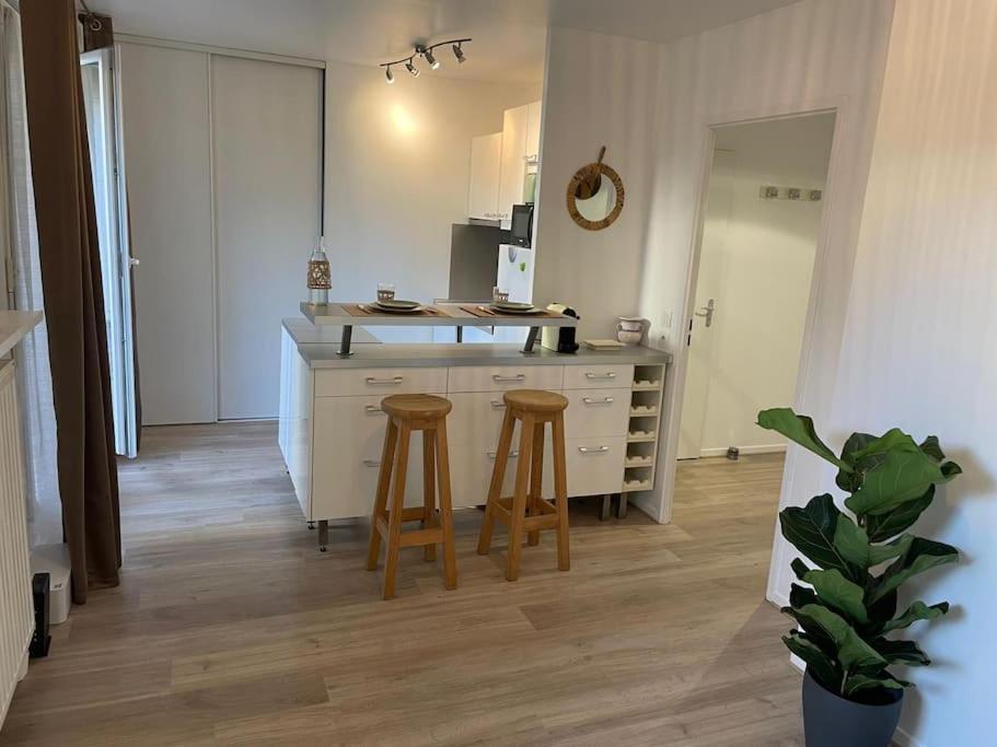 Studio 28 M2 & Jardin Privatif 20 M2 Montigny-le-Bretonneux Exterior foto